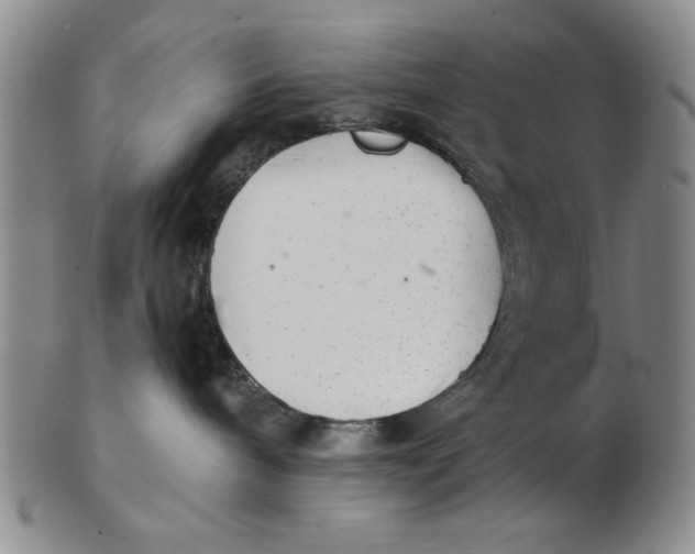 X0000102760240200809080948