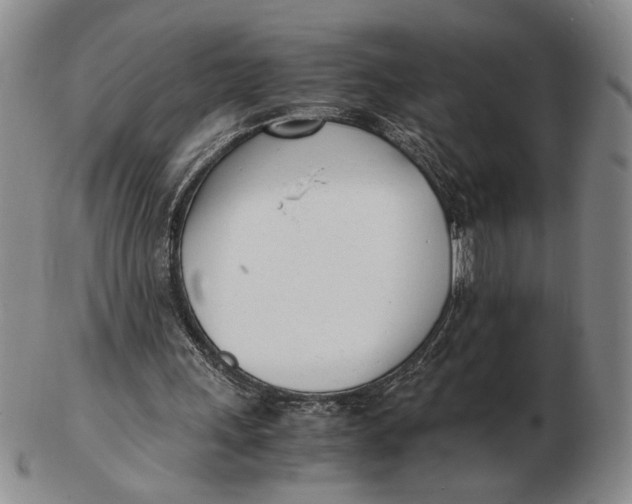 X0000102760243200809080947