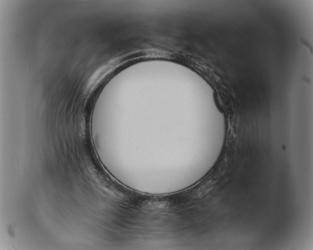 X0000102760247200809080947