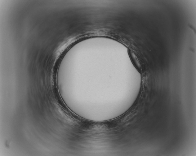 X0000102760248200809080947