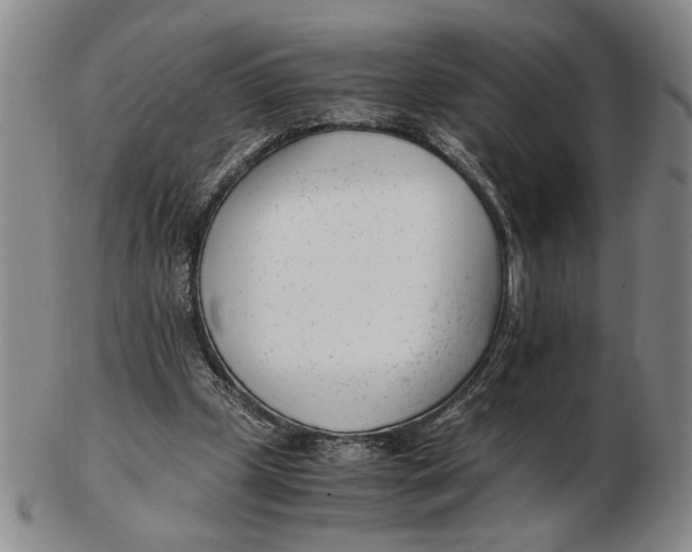 X0000102760249200809080948