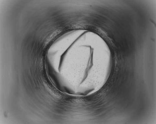 X0000102760250200809080948