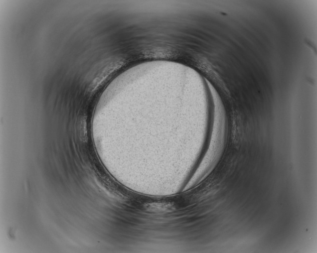 X0000102760251200809080948