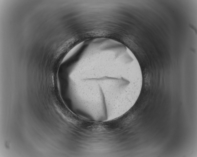 X0000102760254200809080948