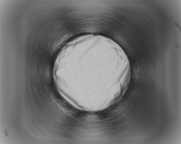 X0000102760256200809080948