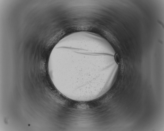 X0000102760258200809080948