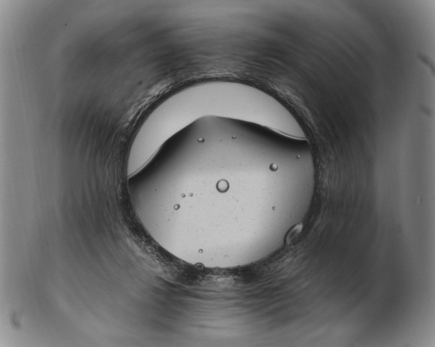 X0000102760260200809080948