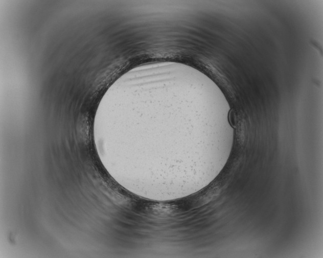 X0000102760261200809080948