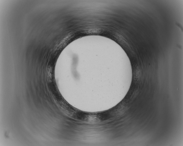 X0000102760264200809080948