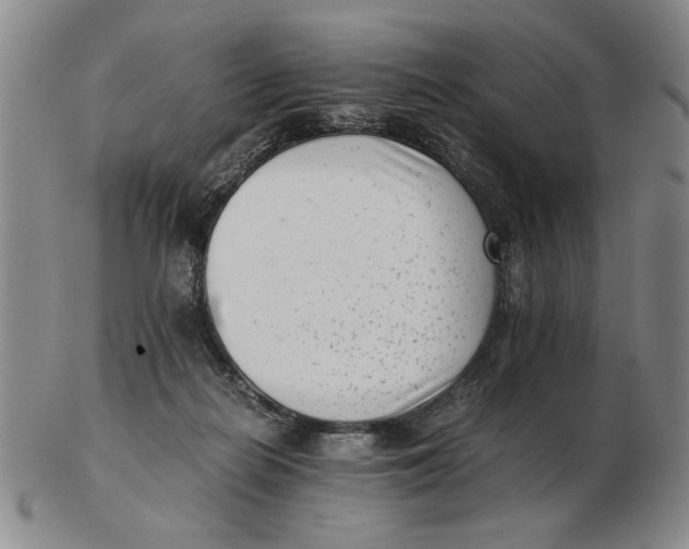 X0000102760266200809080948