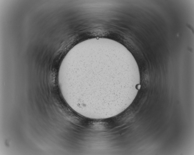 X0000102760268200809080948