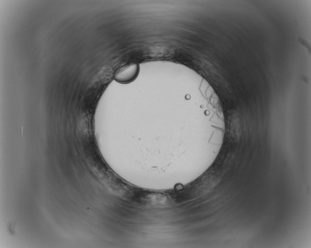 X0000102760272200809080948