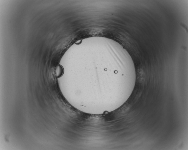 X0000102760280200809080948