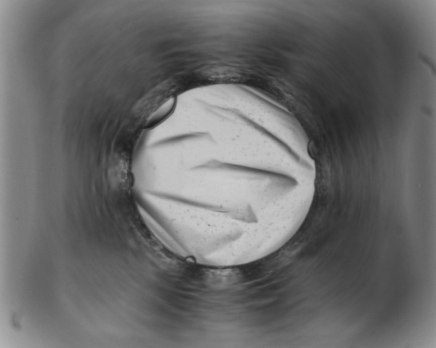 X0000102760281200809080948