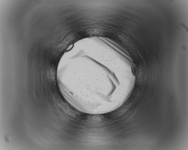 X0000102760282200809080948