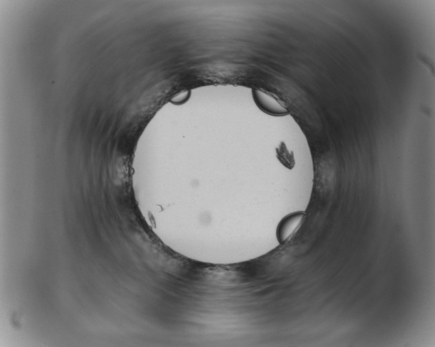 X0000102760284200809080948