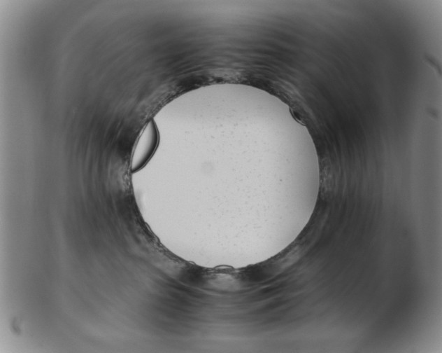 X0000102760285200809080948