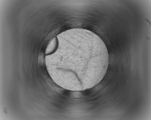 X0000102760287200809080948