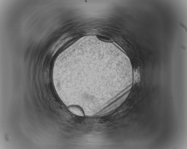 X0000102760291200809080947