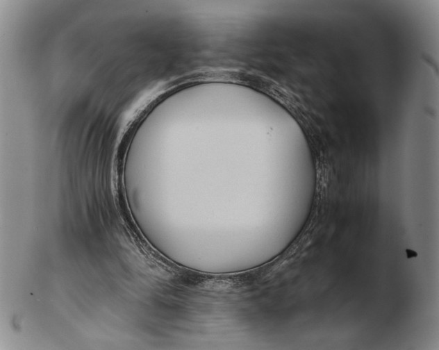 X0000102760294200809080947