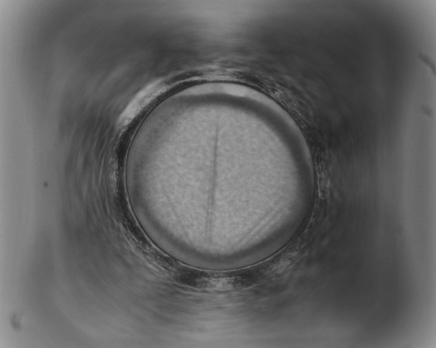 X0000102760295200809080947