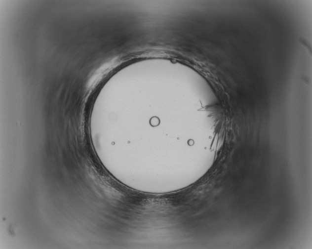 X0000102760296200809080947