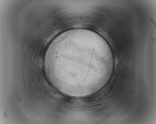 X0000102760297200809080947