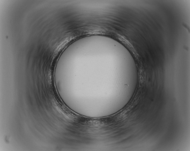 X0000102760298200809080947