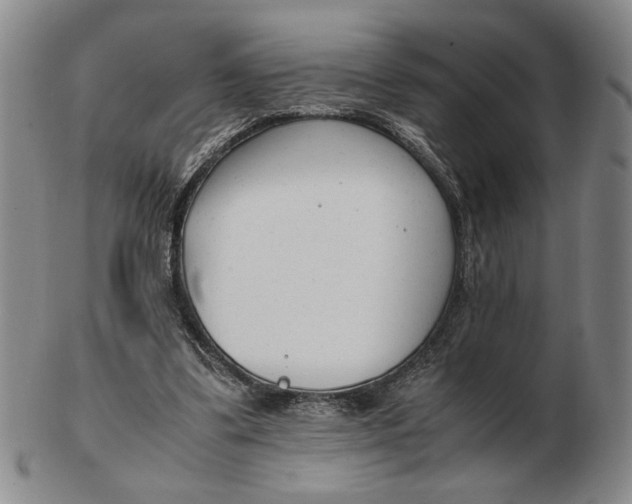 X0000102760299200809080947