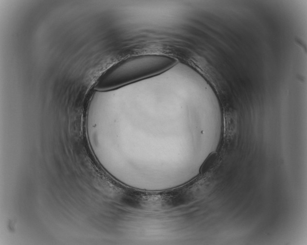 X0000102760301200809080947