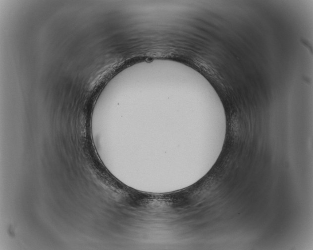 X0000102760303200809080947