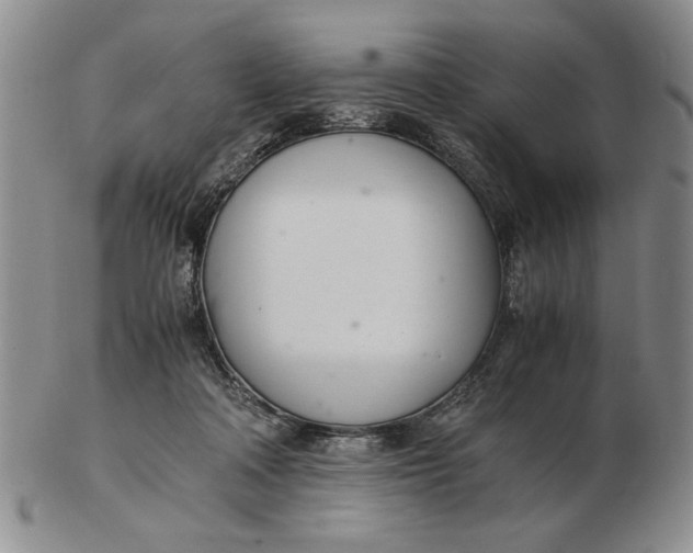 X0000102760314200809080947