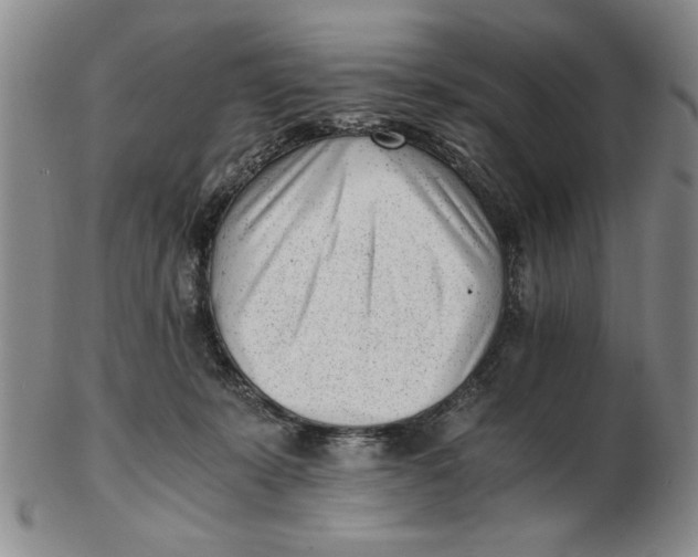 X0000102760319200809080947