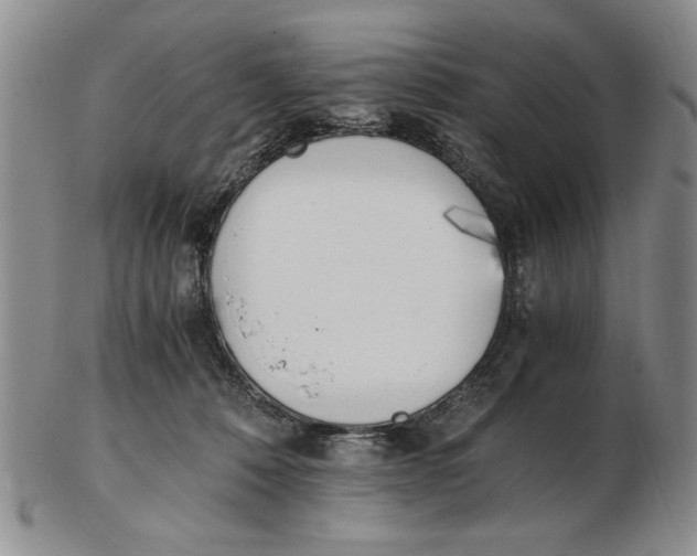 X0000102760320200809080947