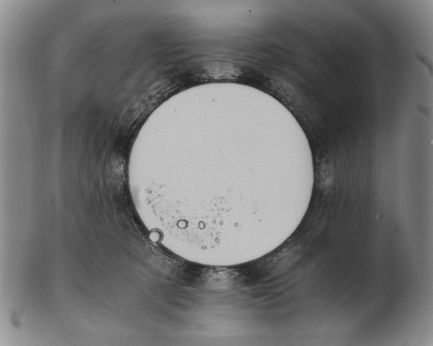 X0000102760321200809080947