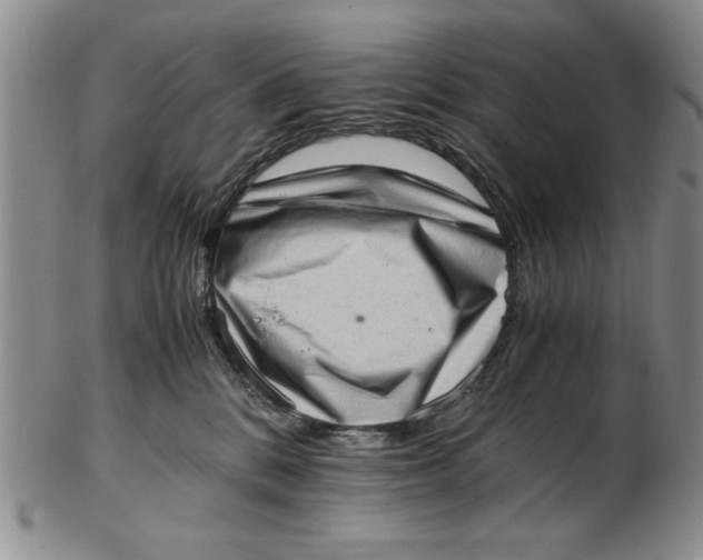 X0000102760328200809080947