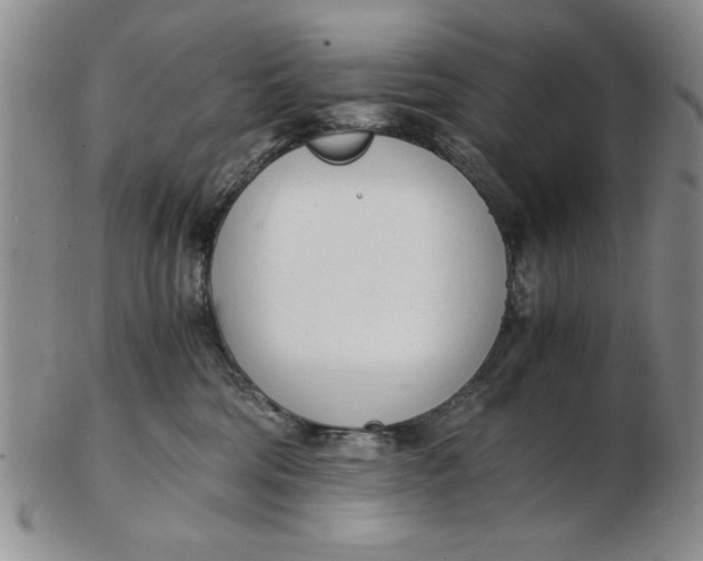 X0000102760330200809080947