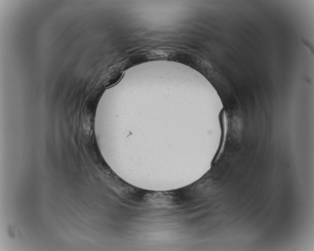 X0000102760331200809080947