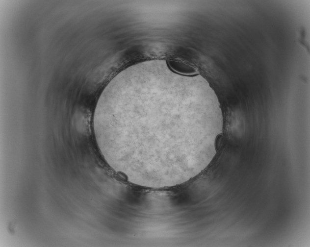 X0000102760332200809080947