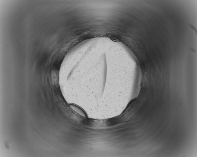 X0000102760335200809080947