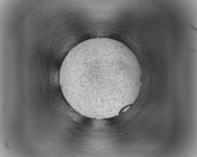 X0000102760336200809080947