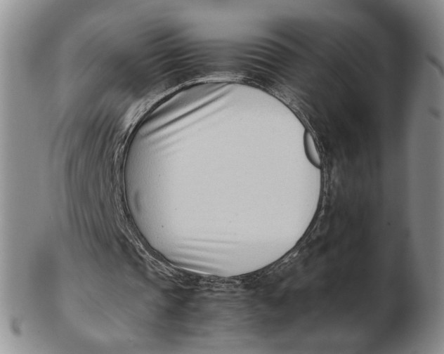 X0000102760337200809080946