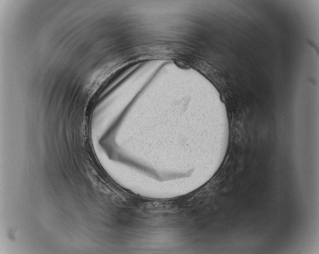 X0000102760338200809080946