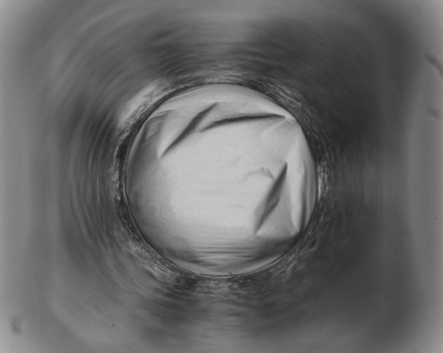 X0000102760339200809080946