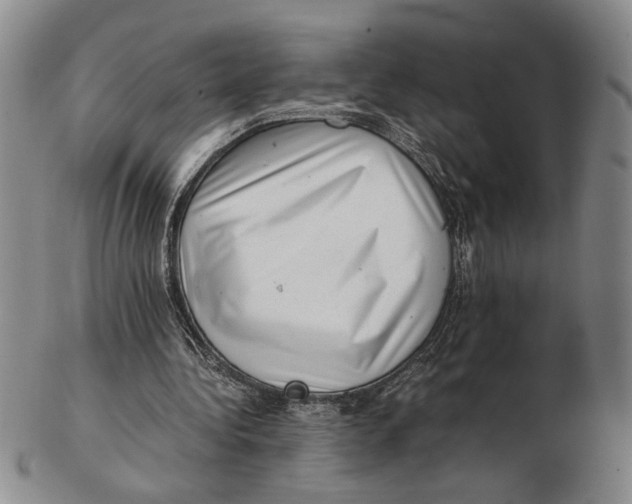 X0000102760340200809080946