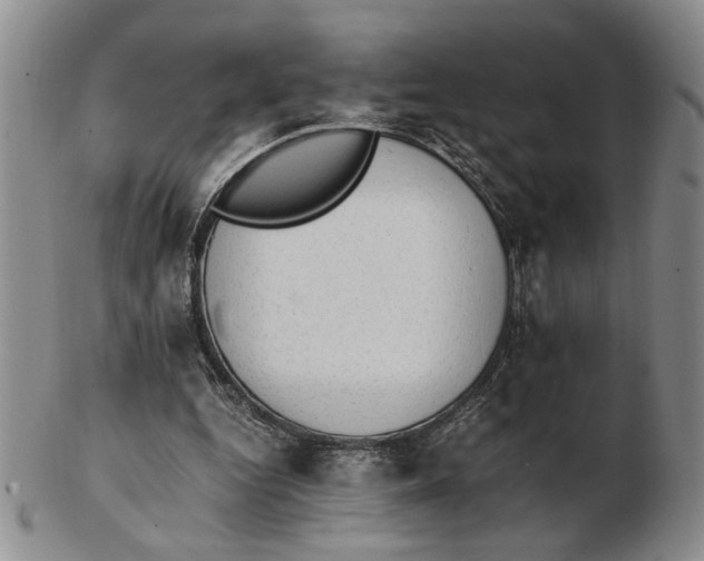 X0000102760344200809080946