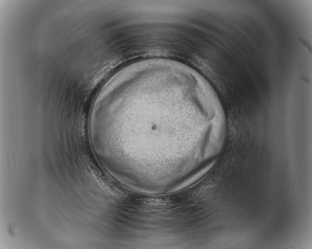 X0000102760347200809080946