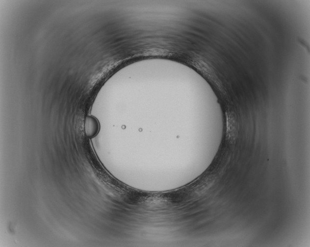 X0000102760348200809080946