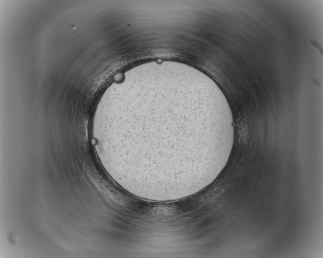 X0000102760350200809080946