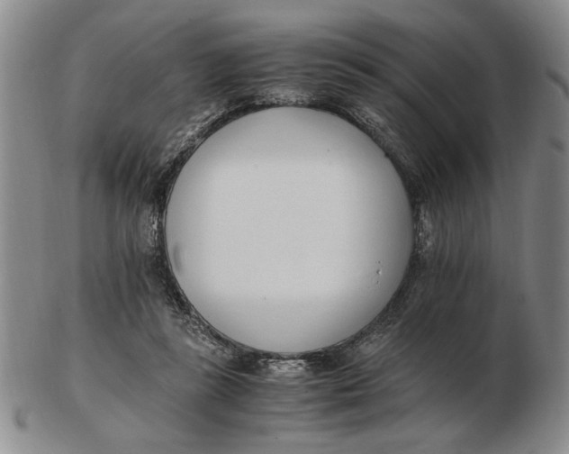 X0000102760355200809080946